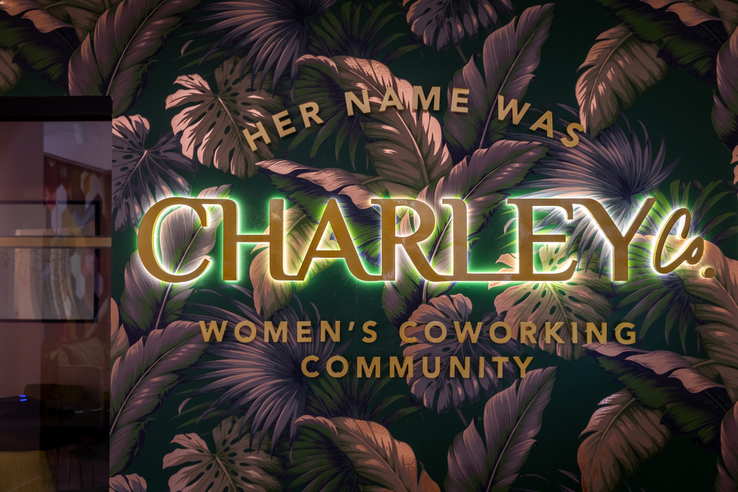 Charlie And Co 9