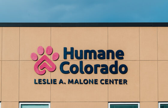 Custom exterior signage with raised lettering for Humane Colorado building during daylight