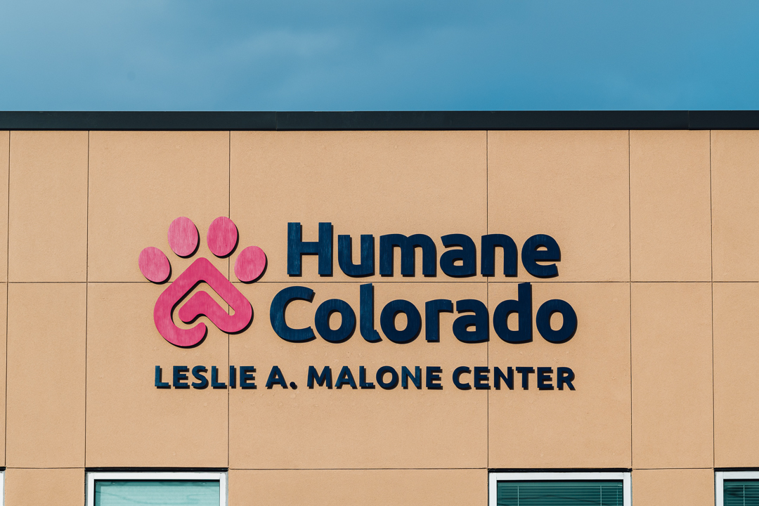 Custom exterior signage with raised lettering for Humane Colorado building during daylight