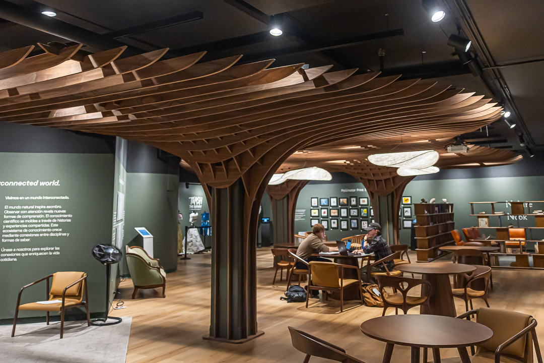 Angled view of the University of Colorado Bio Lounge featuring an expansive custom wood ceiling canopy with curved architectural ribs.