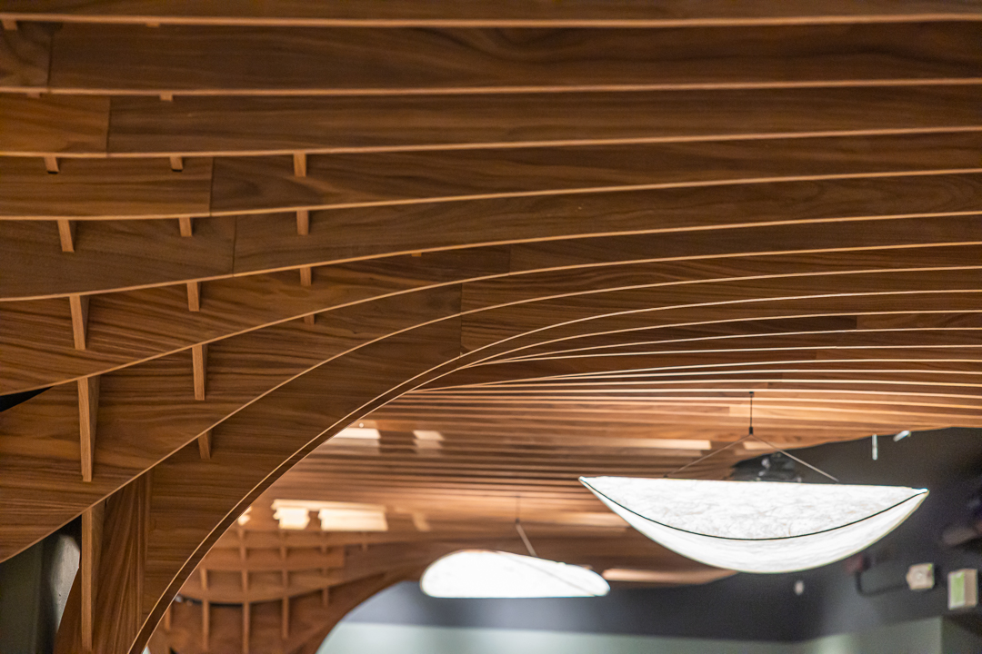 Close-up of the curved walnut-veneered MDF ribs and intersecting elements forming the sculptural ceiling canopy.